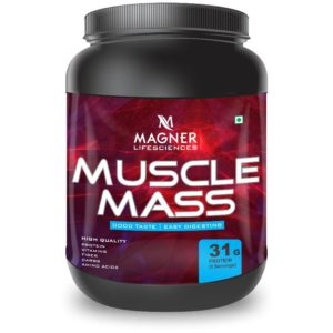 Muscle Mass 500 GMS